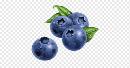 Черника куст