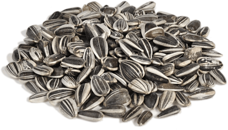 Семечка подсолнечника