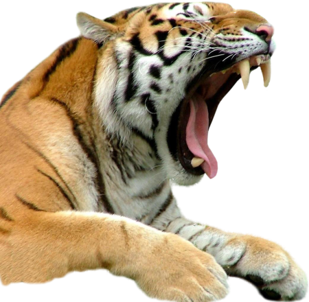 Бальзам тигр 3г