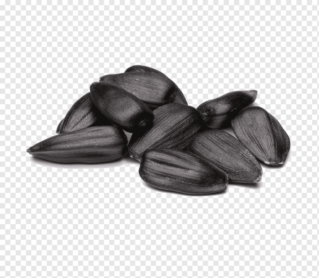 Семечка подсолнечника