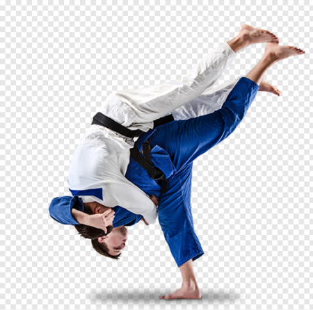 Дзюдо броски