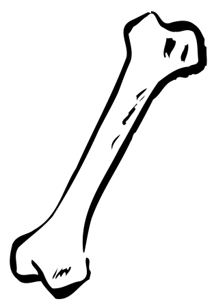 Кость нарисованная