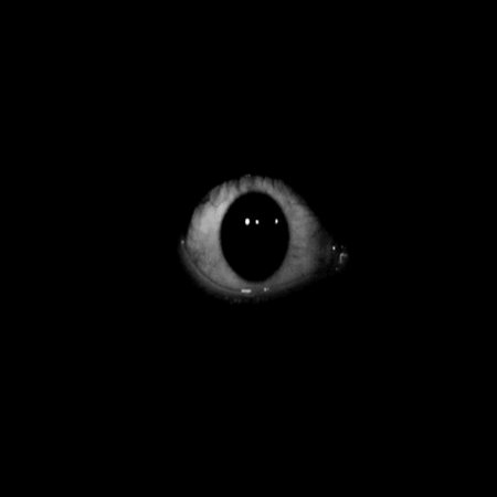 Глаза страшные вектор (48 фото)