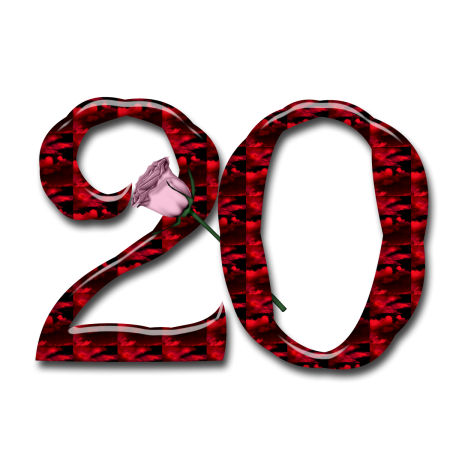 Число 20