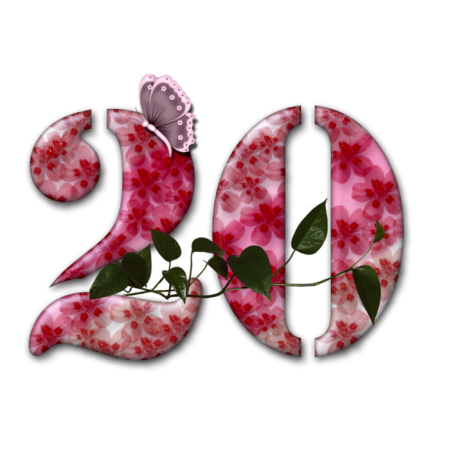 Цифра 20
