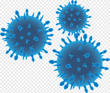 Бактерии бактерии coronavirus