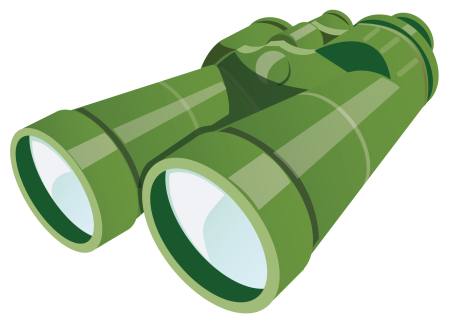 Бинокль Bushnell Trophy 8x32 333208