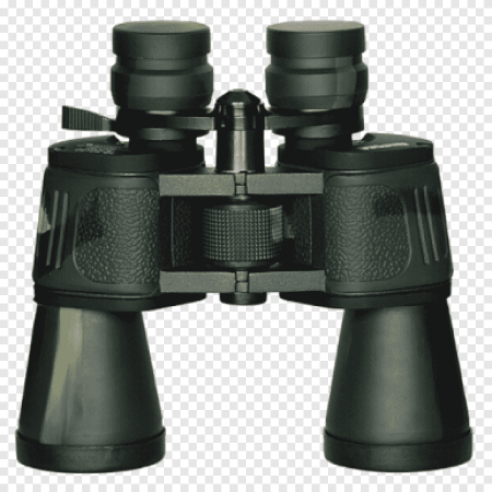 Bushnell 2.5-16 et 2164