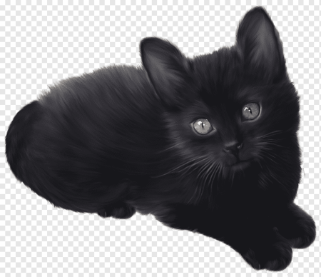 Черная кошка на прозрачном фоне