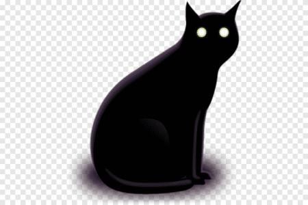 Черный кот на белом фоне