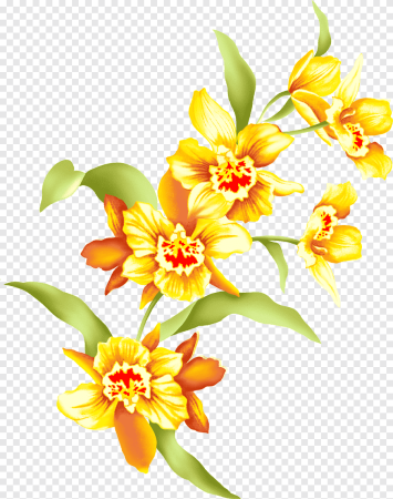 Жёлтые лютики цветы