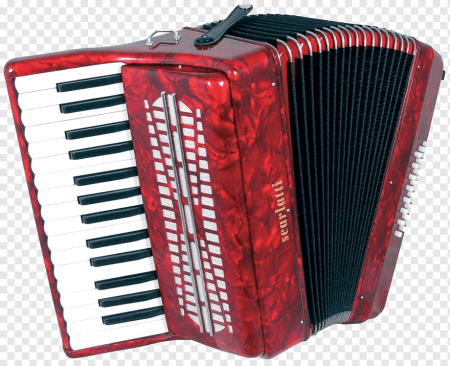 Аккордеон jhz 2003-45