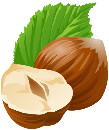 Фундук клипарт