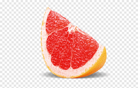 Грейпфрут вектор (50 фото)