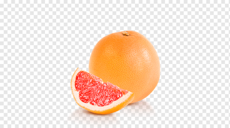 Грейпфрут рисунок