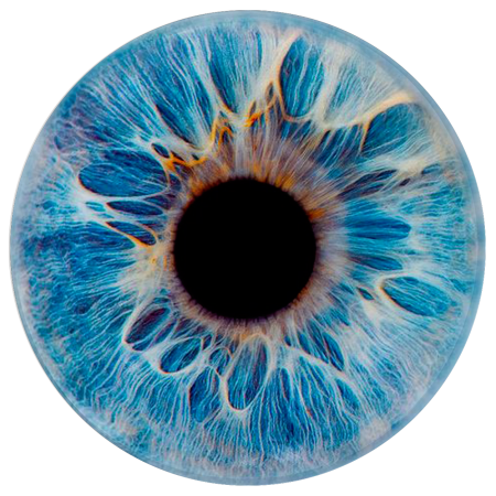 Iris радужка