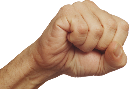 White Power fist (кулак белой власти)