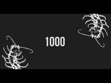 1000-7 Ава