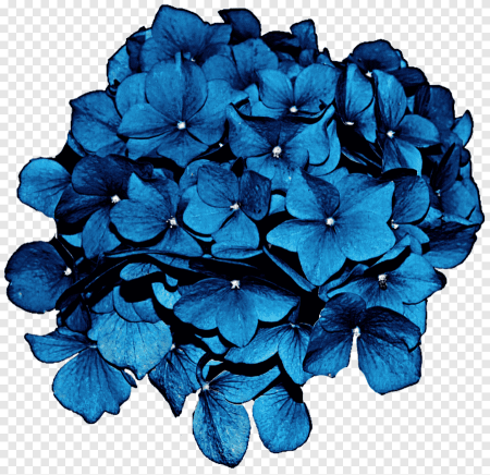 Гортензия Cutout