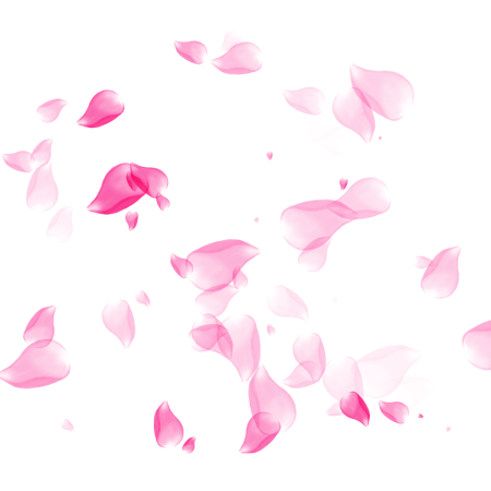 Летающие лепестки