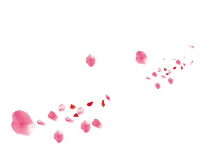 Лепестки роз
