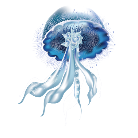 Physalia utriculus