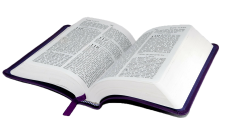 Открытая книга Библия