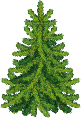 Ель Живая