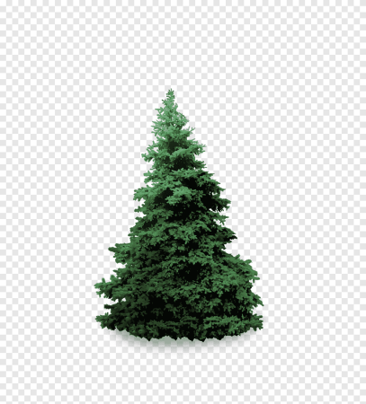 Mister Christmas Nordmann fir Pine 1.95