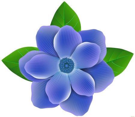Цветы без фона