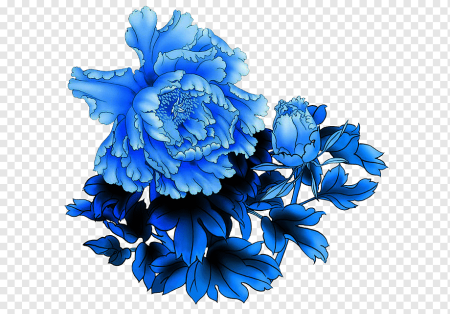 Blue Peony Flower