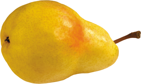 Груша фрукт