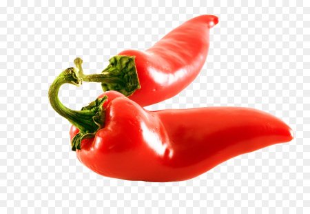 Чили Пеппер (Chili Pepper) Гладиолус
