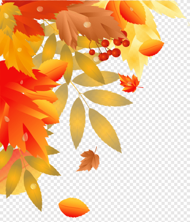 Осенние листья на прозрачном фоне вектор (49 фото)