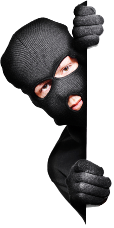 Мультяшные воры
