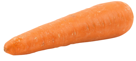 Морковь на белом фоне