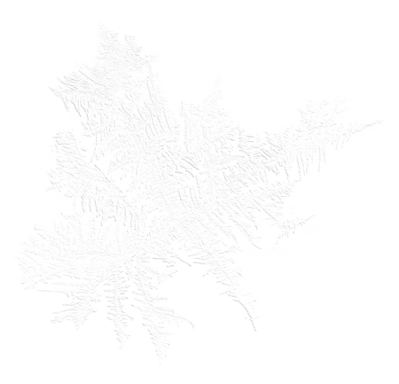 Морозные узоры на прозрачном фоне