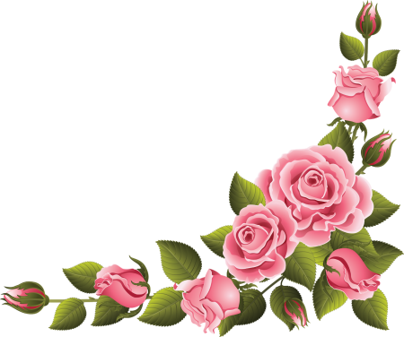 Розовые розы вектор (46 фото)