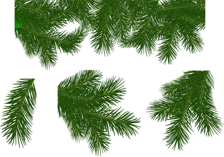 Ветка Еловая