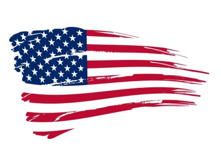 США на белом фоне