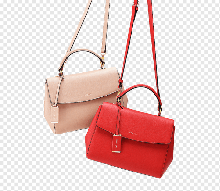 Lady Dior Handbag