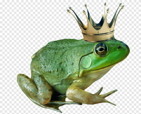 Лягушка для фотошопа
