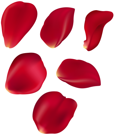 Rose Petals (лепестки роз)