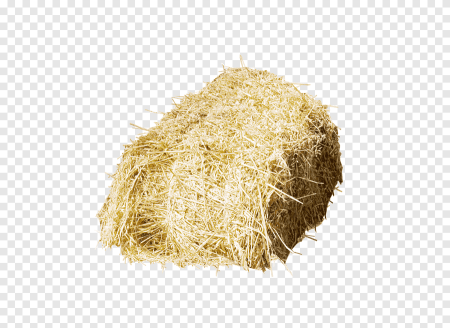 Сено на белом фоне