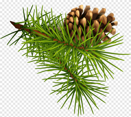 CGAXIS - Winter Conifer Trees collection – Volume 98