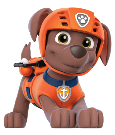 Paw Patrol Рокки