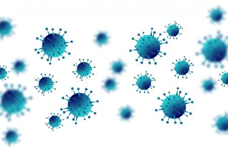 Коронавирус микробы микробы
