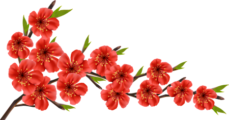 Векторные цветы