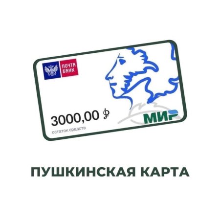 Проект Пушкинская карта