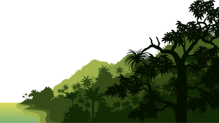 Фон джунгли для детей